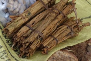 sušená kůra skořice na zemi na tržišti na Srí Lance ve vesnici Midigama