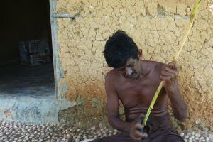 local man peeling fresh cinnamon sticks in Sri Lanka