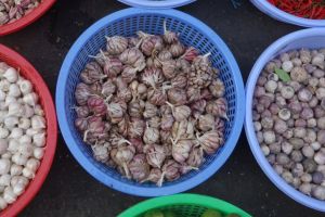 three kinds of garlic in baskets on local market in Vietnam