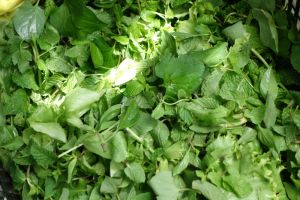 fresh mint mixed with other leaves on the market in Mui Ne, Vietnam by Authentic World Food