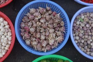 3 druhy česneku prodávané z košíku na místním tržišti ve Vietnamu