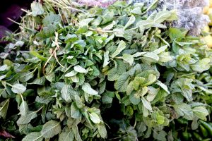Fresh mint on a traditional Moroccan market souk