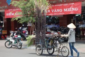 prodavačka cukrové třtiny v ulicích Saigonu ve Vietnamu