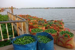 Velkoobchod s limetkami na plovoucím trhu na řece Mekong ve Vietnamu - od Authentic World Food