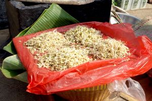 Prodej výhonků fazolí mungo na tradičním tržišti na Lomboku v Indonésii - od Authentic World Food