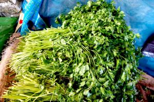 Prodej zelené petrželky ve svazcích na tržišti v Maroku