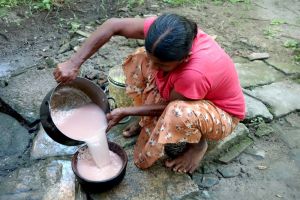 Proplachování rýže na vesnici na Srí Lance - od Authentic World Food