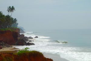 Beach with coconut palmtrees in Kerala, India - by Authentic World Food
