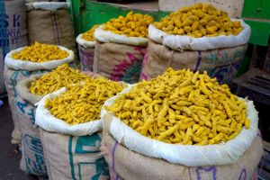 Oddenky kurkumy za branami velkoobchodu s kořením v Dilí, Indie by Authentic World Food.