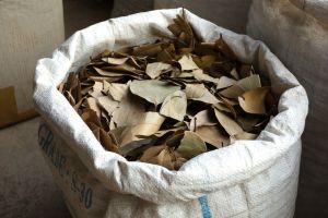 Prodej bobkových listů z pytlů na tržišti v Kumily v Indii od Authentic World Food