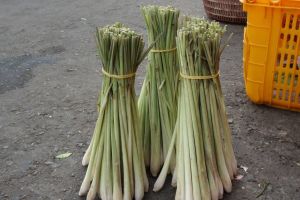 lemon grass bunches on Vietnam market