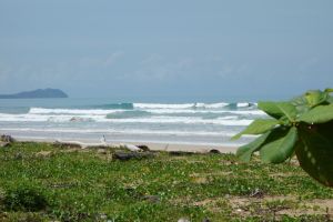 surfing Thailand