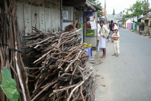 prodej oloupaných klacků skořice ve Weligamě na Srí Lance