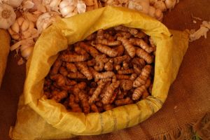 small ginger sold from bags on local market in Midigama, Sri Lanka