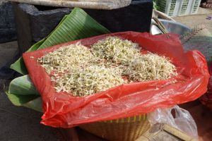 výhonky mungo rozdělené na porce při prodeji na tržišti na ostrově Lombok v Indonésii