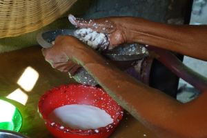 coconut milk straining