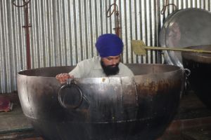 Dish washer in community kitchen, Amritsar, India