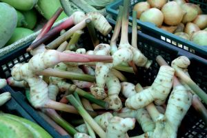 crate with galangal on the market in Thailand