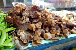 prodej hub Jidášovo ucho na tržišti v Thajsku