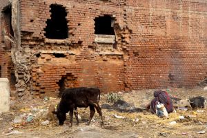 Slušný kontrast - na jedné straně Zlatý chrám, odvrácená tvář chudoby na straně druhé - Amritsar, Indie