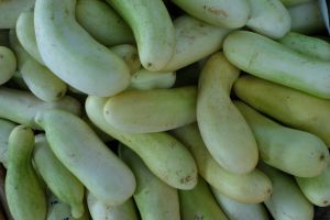 white salad cucumbers