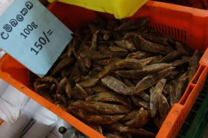 container with Maldive fish in Sri Lankan market