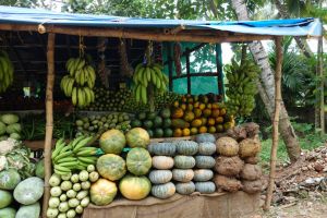 greengrocer`s stall in India