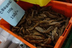 prodej Maledivských ryb z přepravky v obchodě na Srí Lance