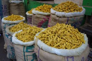 prodej oddenků kurkumy v pytlích ve velkoobchodní části trhu s kořením v Novém Dillí v Indii