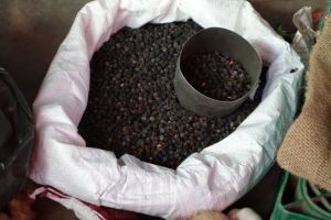 sušené kuličky černého pepře prodávané z pytlů na místním tržišti v Midigamě na Srí Lance