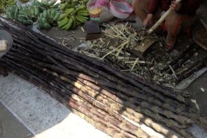 stonky cukrové třtiny před oloupáním na tržišti v Nam O ve Vietnamu