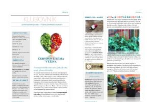 newsletter klubovny Happy Go Lucky o výživě