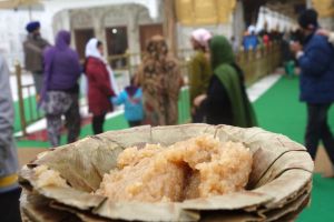 Halva ze semolíny - sooji ka halwa