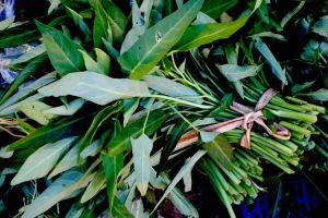 Bunch of kang kung - water spinach on the Sri Lankan market by Authentic World Food.