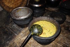 Dhal