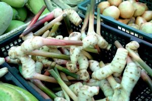 Galangal - siamese giner on traditional Thai market by Authentic World Food