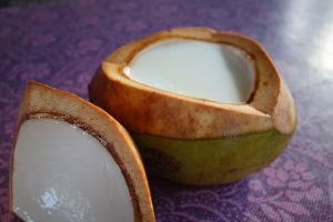 Kelapa muda puding - Puding z mladého kokosu