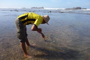 Octopus catching with a metal stick in Morocco by Authentic World Food