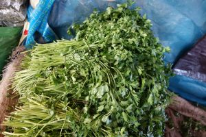 Bunch of fresh parsley on traditional Moroccan market, souk in Morocco by Authentic World Food