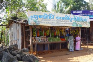 Street fruit and vegetable shop in Kerala, India - by Authentic World Food