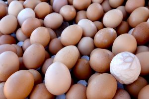 Eggs sold on traditional Moroccan market, souk - by Authentic World Food