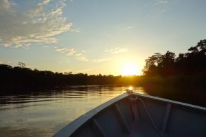 Jungle trip by the river on Borneo, Malaysia - by Authentic World Food