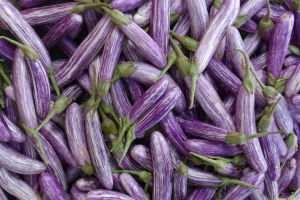 Heap of eggplant on traditional Sri Lankan market - by Authentic World Food