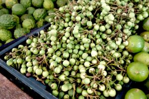 Pea eggplant on traditional market in Thailand by Authentic World Food