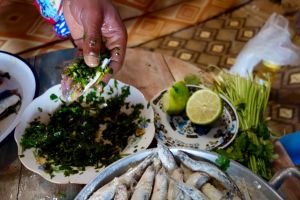 Sardines with herbs. Authentic recipe from Morocco.