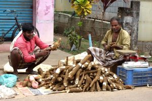 Hlízy tapioky na tradičním tržišti v Indii v Kerale - od Authentic World Food