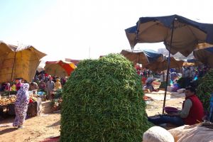Green pea husks heap on traditional Moroccan market souk by Authentic World Food