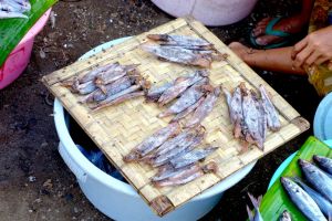 Dried squid vendor on traditional market on Lombok island, Indonesia - by Authentic World Food