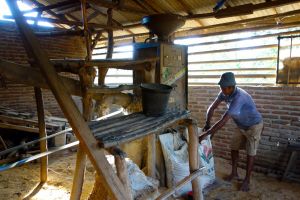 Oddělování zrna od plev rýže na ostrově Lombok v Indonésii - od Authentic World Food